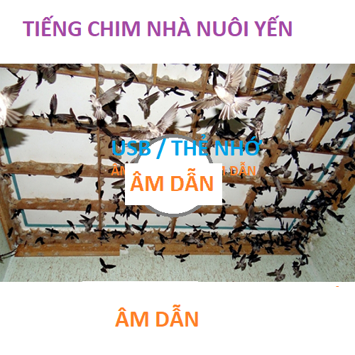 ÂM DẪN NHÀ YẾN