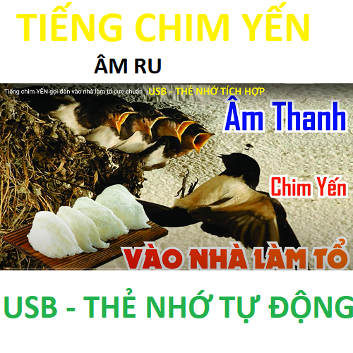 ÂM RU NHÀ YẾN