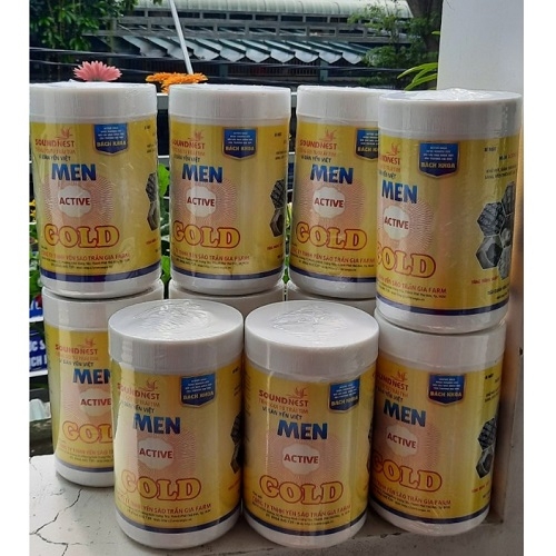 Men vi sinh Active gold nhà yến